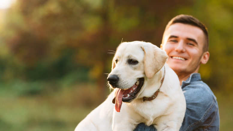 Pensioni per cani in Lombardia